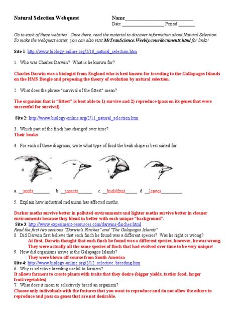 answers to natural selection webquest PDF