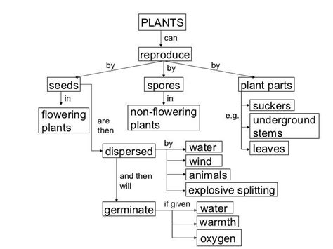 answers to plant reproduction concept map Epub