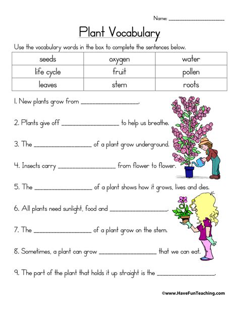 answers to plant vocabulary PDF