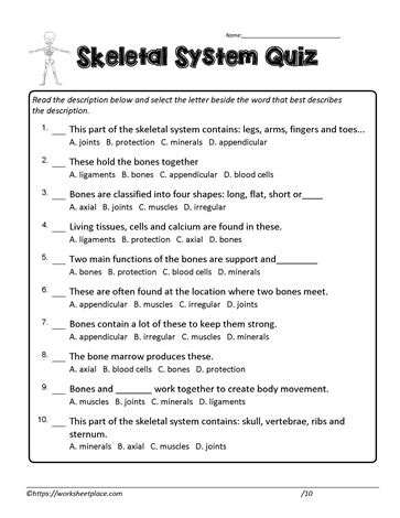 answers to skeletal system multiple choice quiz Epub