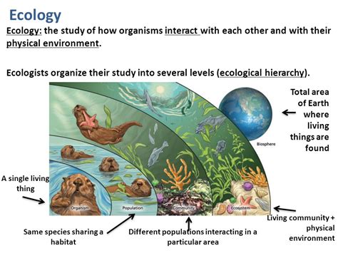 answers to stemscopes organisms and environment PDF