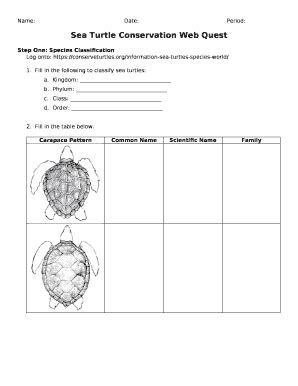 answers to the sea turtle webquest PDF