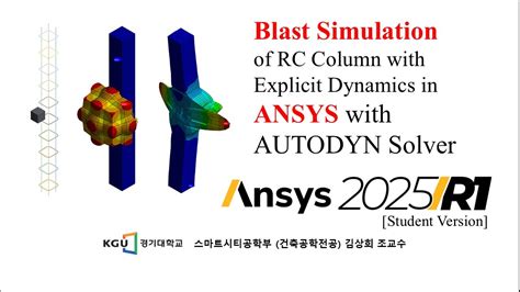 ansys 14 autodyn tutorial Kindle Editon