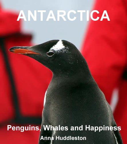 antarctica penguins whales and happiness Doc