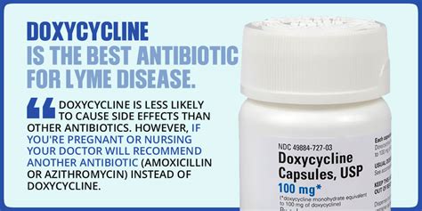 antibiotic lyme disease doxycycline