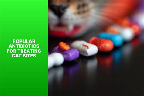 antibiotics for cat bite