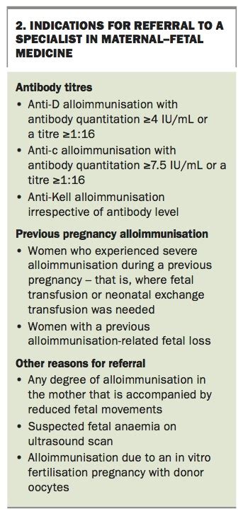 antibodies found in blood during pregnancy