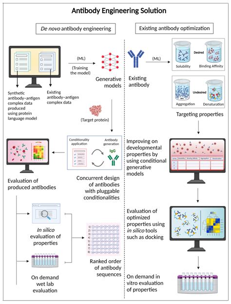 antibody engineering antibody engineering Reader