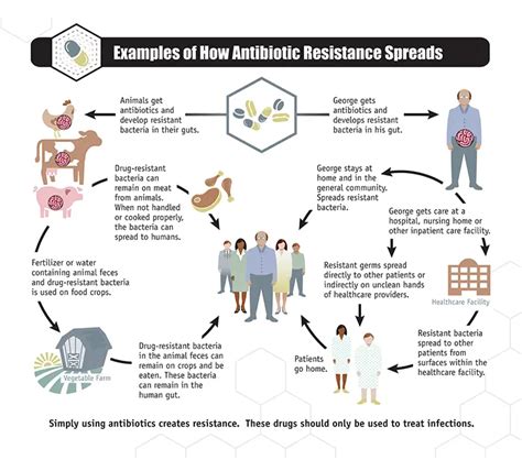 antimicrobial resistance in bacteria of animal origin PDF