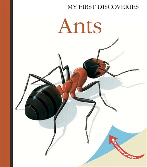 ants first discoveries rene mettler Kindle Editon