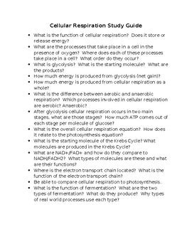 ap bio cellular respiration study guide Kindle Editon