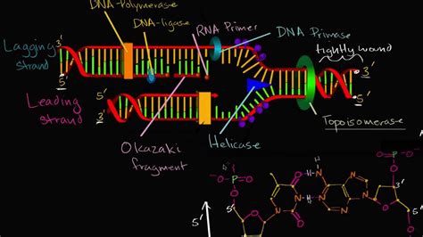 ap bio khan academy