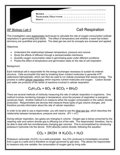 ap bio lab 5 cellular respiration answers Doc