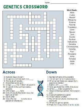 ap biology genetics crossword puzzle answers Doc