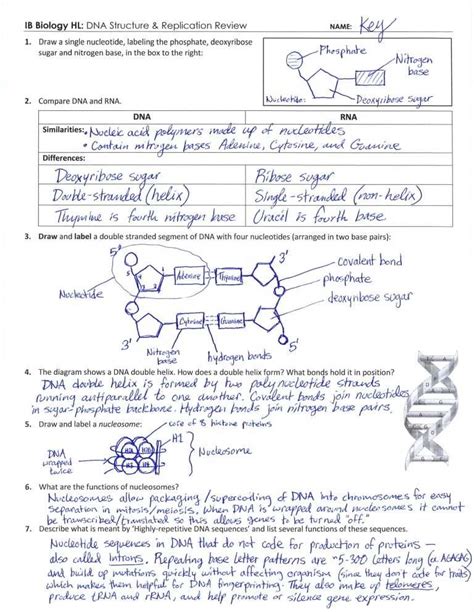 ap biology lab 1 answers Doc