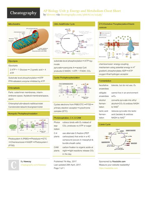 ap biology unit 3