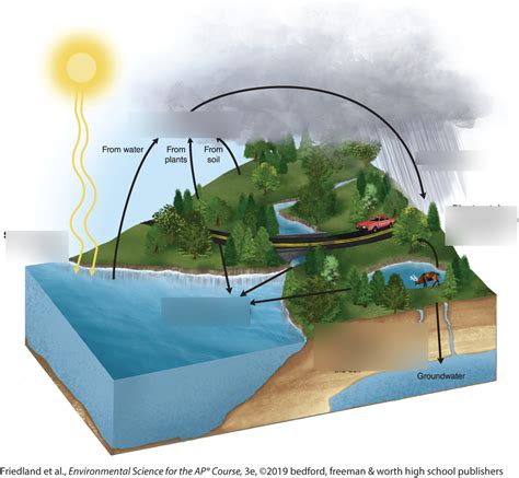 ap environmental science quizlets PDF