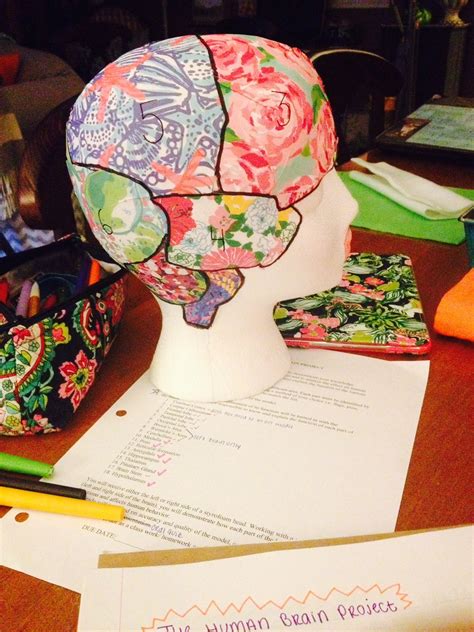 ap psych brain project