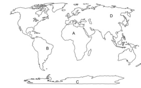apes final exam quizlet