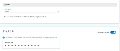 api nyckel