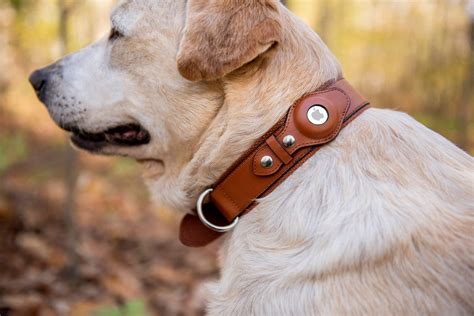 apple airtag dog collar