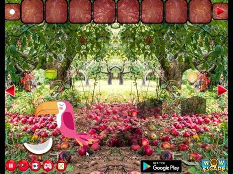 Apple Forest Walkthrough