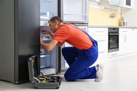 appliance repair and maintenance Epub