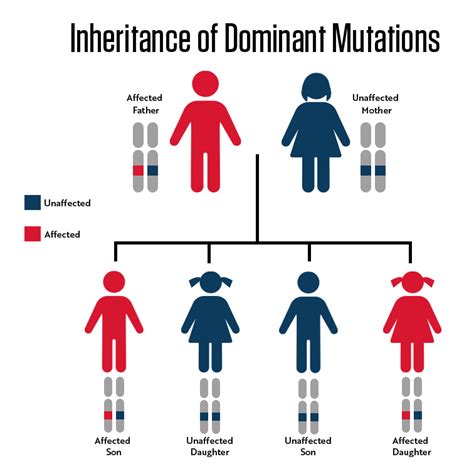 approximately 80% of individuals with genetic mutations are carriers without any outward manifestations