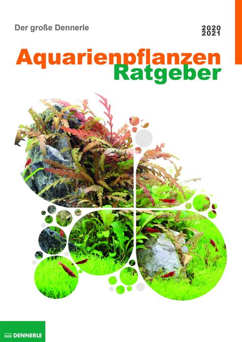 aquarienpflanzen ratgeber stefan hummel Kindle Editon