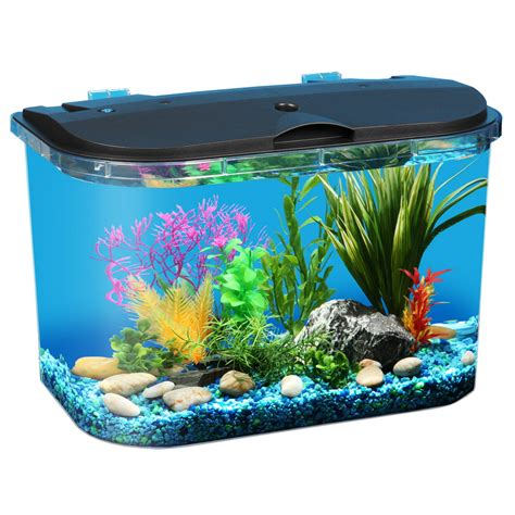 aquarium 5 gallons