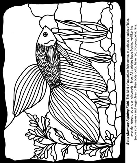 aquarium fish stained glass coloring book Reader