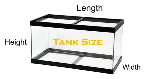 Aquarium Measurement Chart