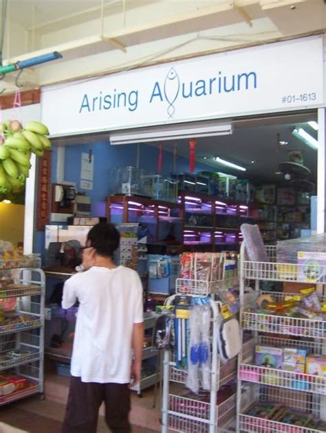 aquarium shop in ang mo kio