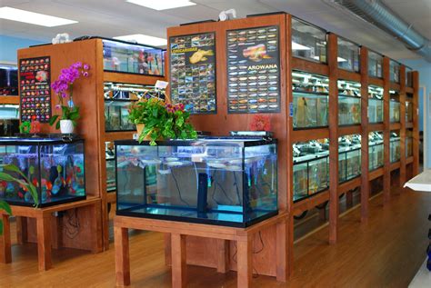 aquatic shops near me