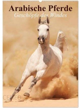 arabische pferde gesch pfe windes wandkalender Epub