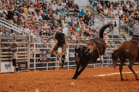 arcadia rodeo 2024
