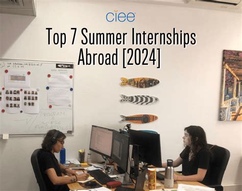 archival internships summer 2024