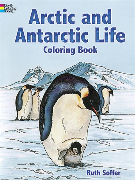 arctic and antarctic life coloring book dover nature coloring book Doc