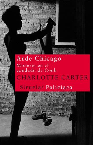 arde chicago misterio en el condado de cook nuevos tiempos Kindle Editon