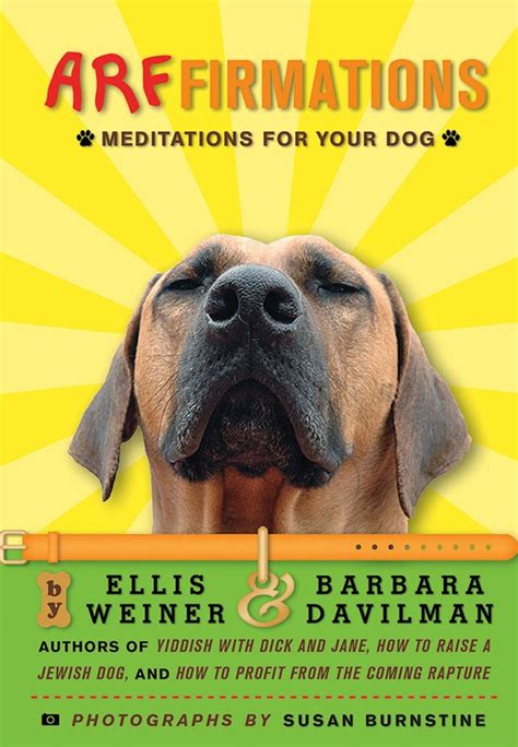 arffirmations meditations for your dog Doc