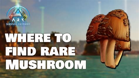 ark rare mushroom