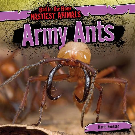 army ants bad to the bone nastiest animals Epub