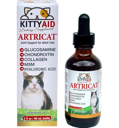 arthritis medicine for cats