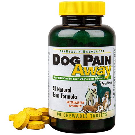 arthritis pain relief for dogs