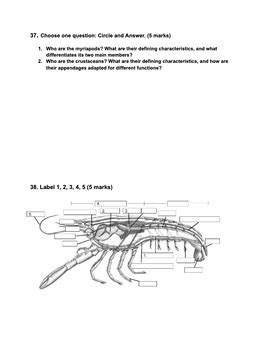 arthropod diversity reinforcement answer key Epub