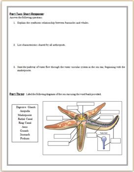 arthropods and echinoderms section review answers Reader