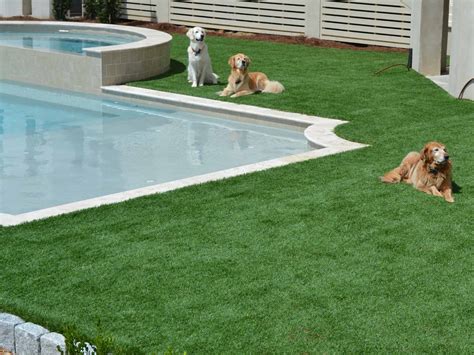 artificial grass for dogs