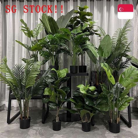 artificial plants singapore