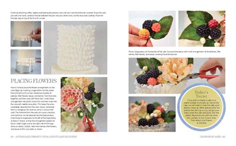 artisan cake companys visual guide to cake decorating Epub