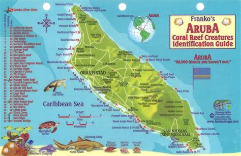 aruba coral reef creatures identification guide map Doc
